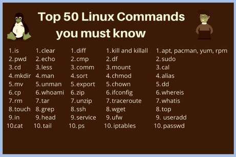 A Comprehensive Guide: Top 50 Linux Commands for Users – DevOps Support